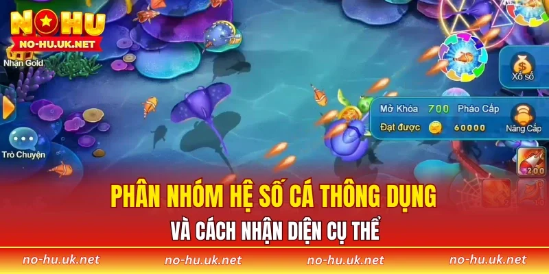 Phân nhóm hệ số cá thông dụng và cách nhận diện cụ thể